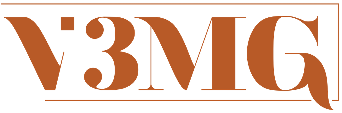 V3 Media Group